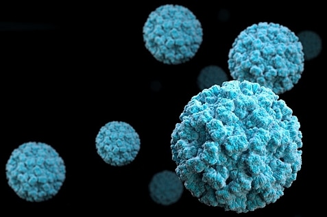A virus called norovirus