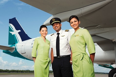 Flight attendants and pilot