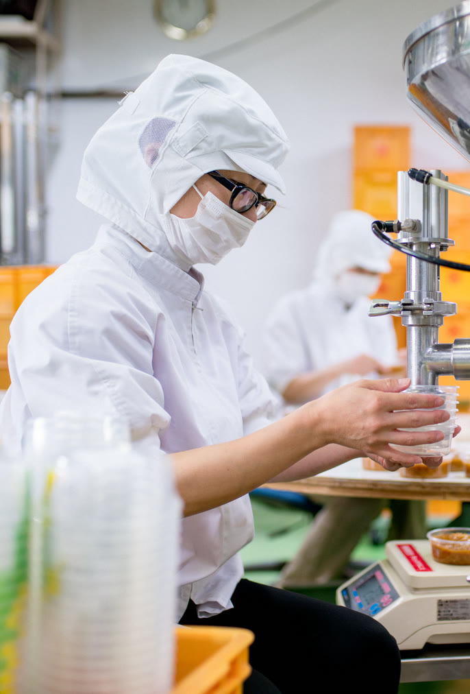 Food processing worker in a white hygienic uniform, hairnet and face mask filling containers on a production line
